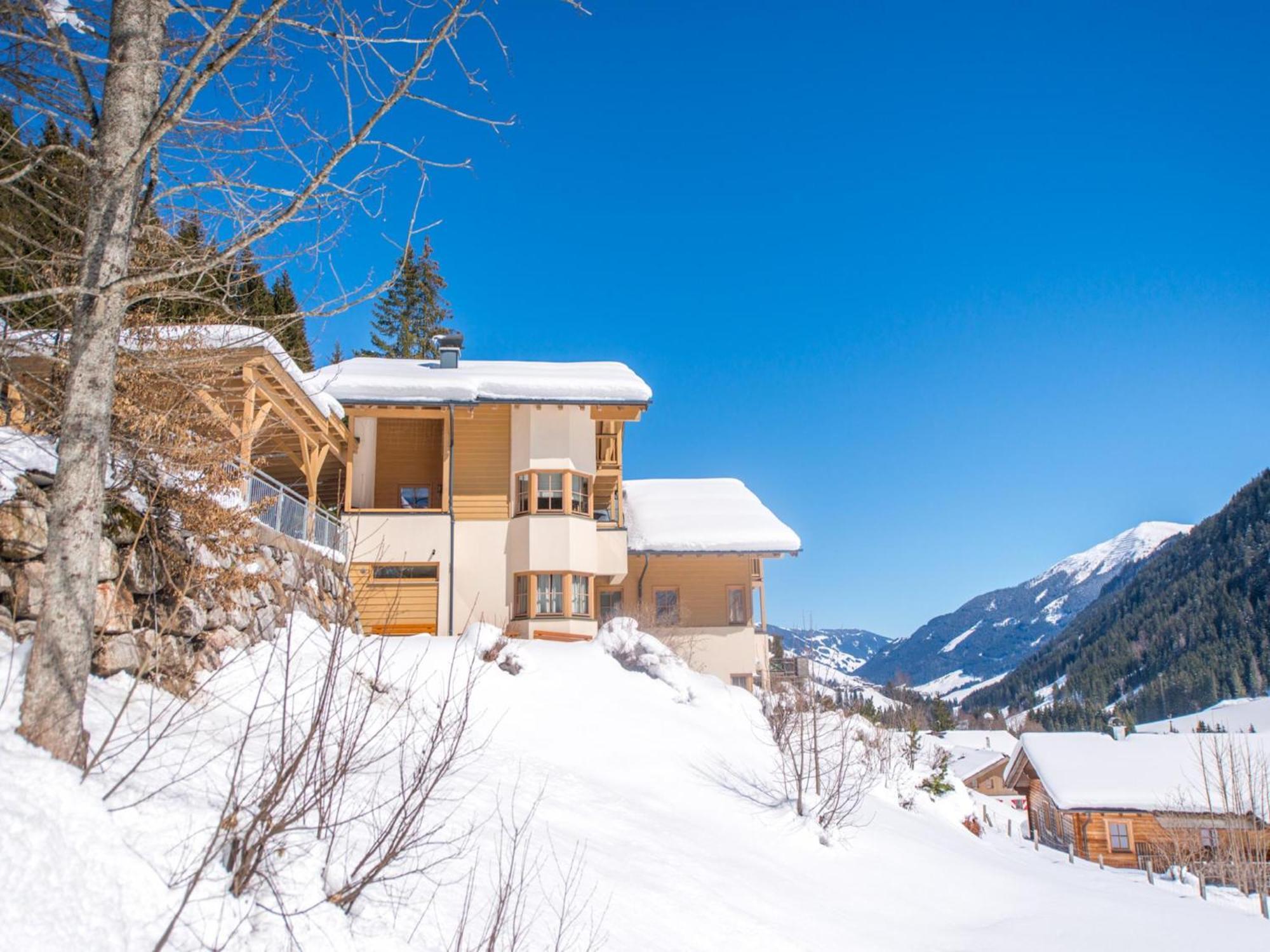 Chalet Sanna Hinterlengau Зальбах-Гінтерглемм Екстер'єр фото